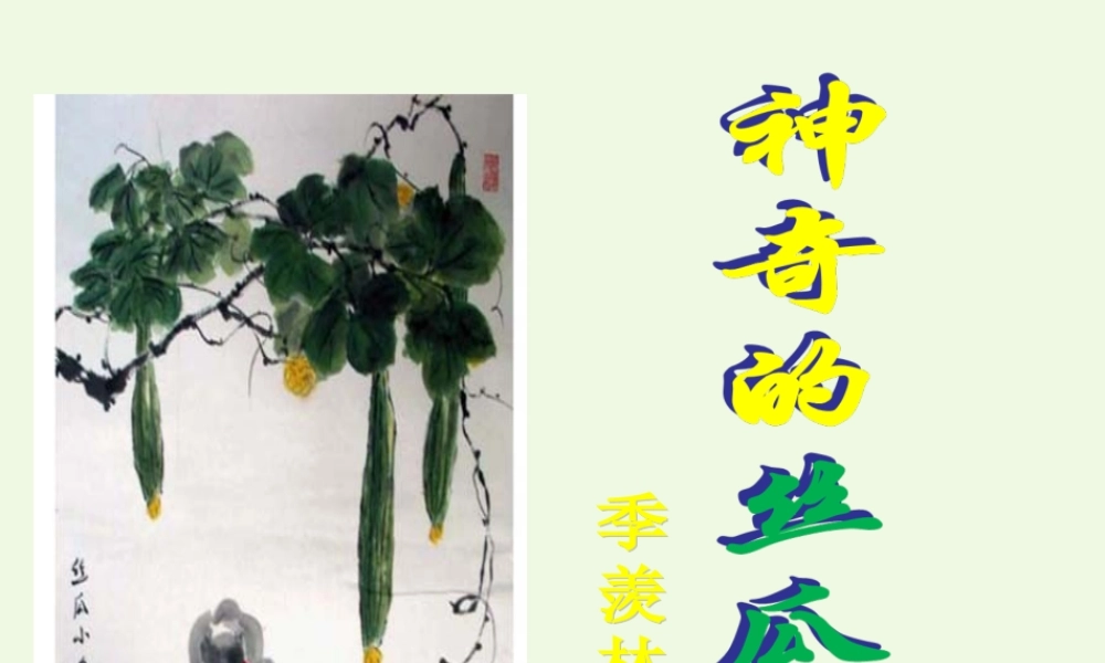 六年级语文上册 神奇的丝瓜课件2 湘教版-湘教版小学六年级上册语文课件