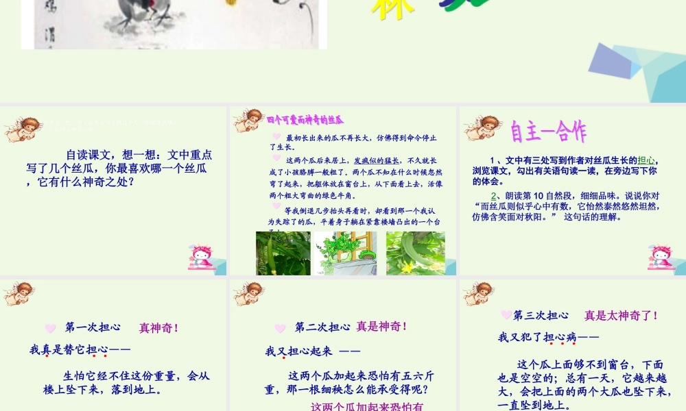 六年级语文上册 神奇的丝瓜课件2 湘教版-湘教版小学六年级上册语文课件