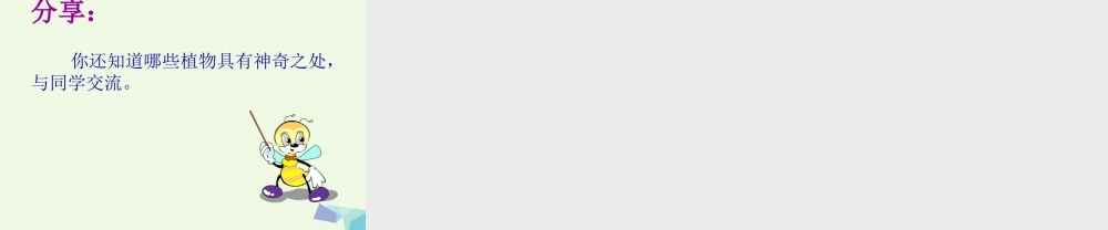 六年级语文上册 神奇的丝瓜课件2 湘教版-湘教版小学六年级上册语文课件