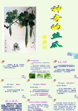 六年级语文上册 神奇的丝瓜课件2 湘教版-湘教版小学六年级上册语文课件