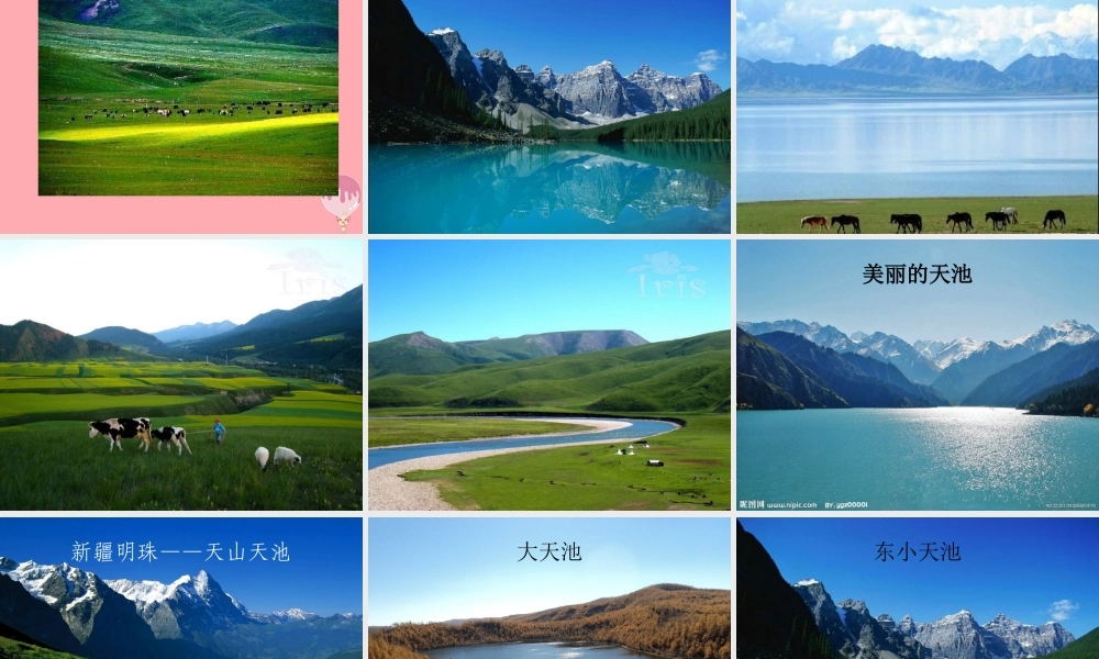 六年级语文上册 第3课 七月上天山课件1 西师大版-西师大版小学六年级上册语文课件