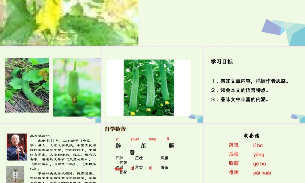 六年级语文上册 神奇的丝瓜课件3 湘教版-湘教版小学六年级上册语文课件