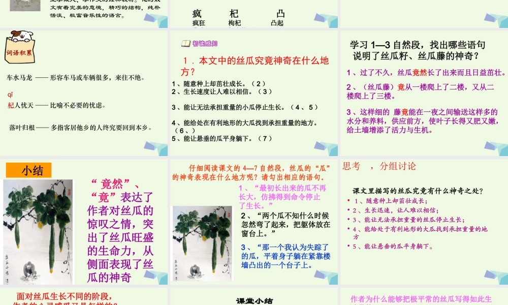 六年级语文上册 神奇的丝瓜课件3 湘教版-湘教版小学六年级上册语文课件