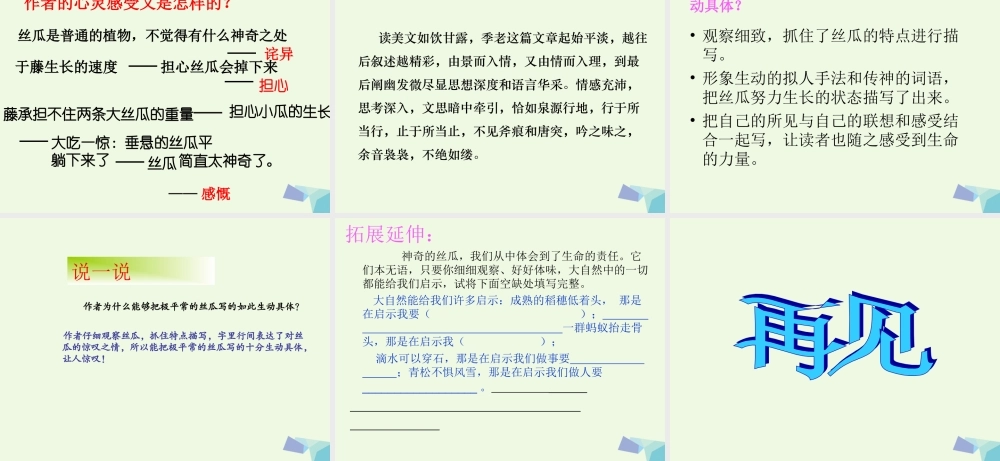 六年级语文上册 神奇的丝瓜课件3 湘教版-湘教版小学六年级上册语文课件