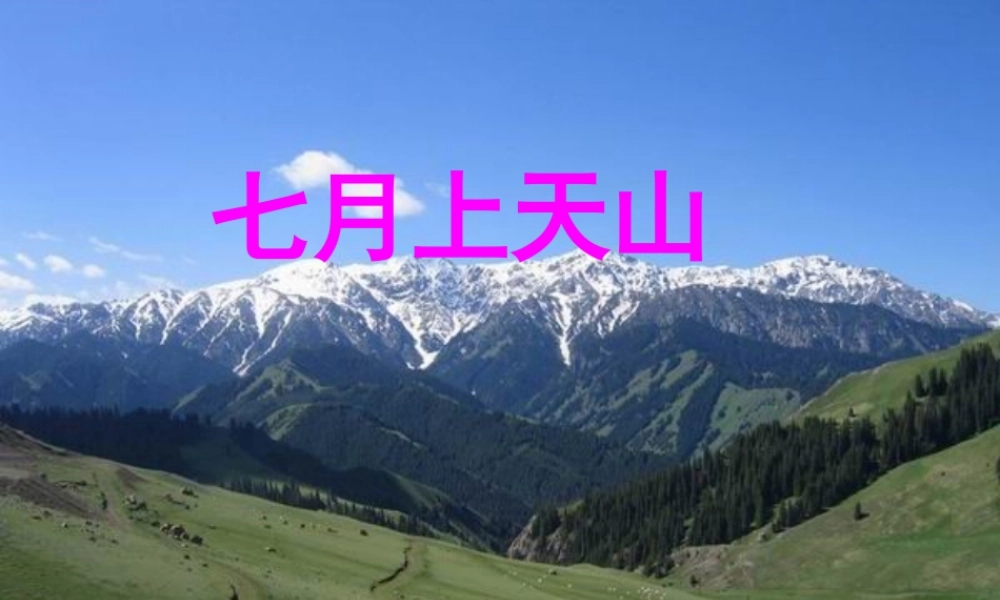 六年级语文上册 第3课 七月上天山课件2 西师大版-西师大版小学六年级上册语文课件