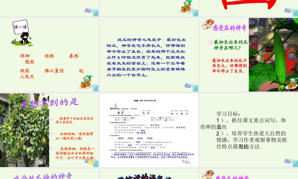 六年级语文上册 神奇的丝瓜课件4 湘教版-湘教版小学六年级上册语文课件