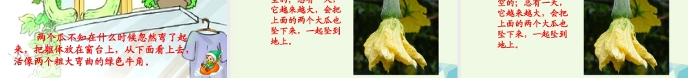 六年级语文上册 神奇的丝瓜课件4 湘教版-湘教版小学六年级上册语文课件