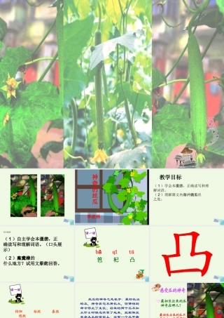 六年级语文上册 神奇的丝瓜课件4 湘教版-湘教版小学六年级上册语文课件