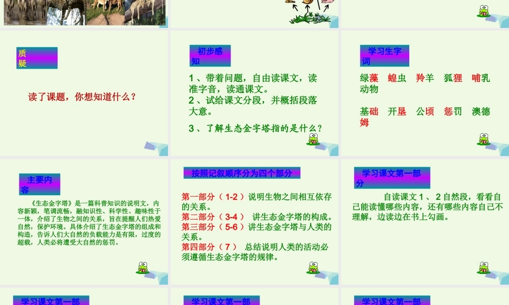 六年级语文上册 生态金字塔课件1 鄂教版-鄂教版小学六年级上册语文课件