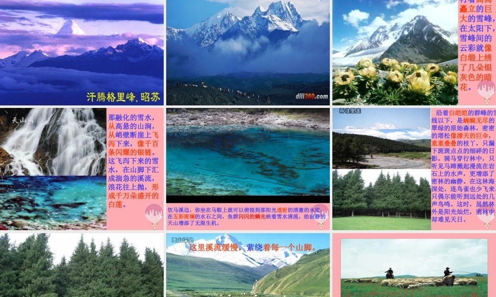 六年级语文上册 第3课 七月上天山课件4 西师大版-西师大版小学六年级上册语文课件