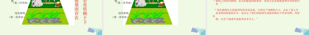 六年级语文上册 生态金字塔课件2 鄂教版-鄂教版小学六年级上册语文课件