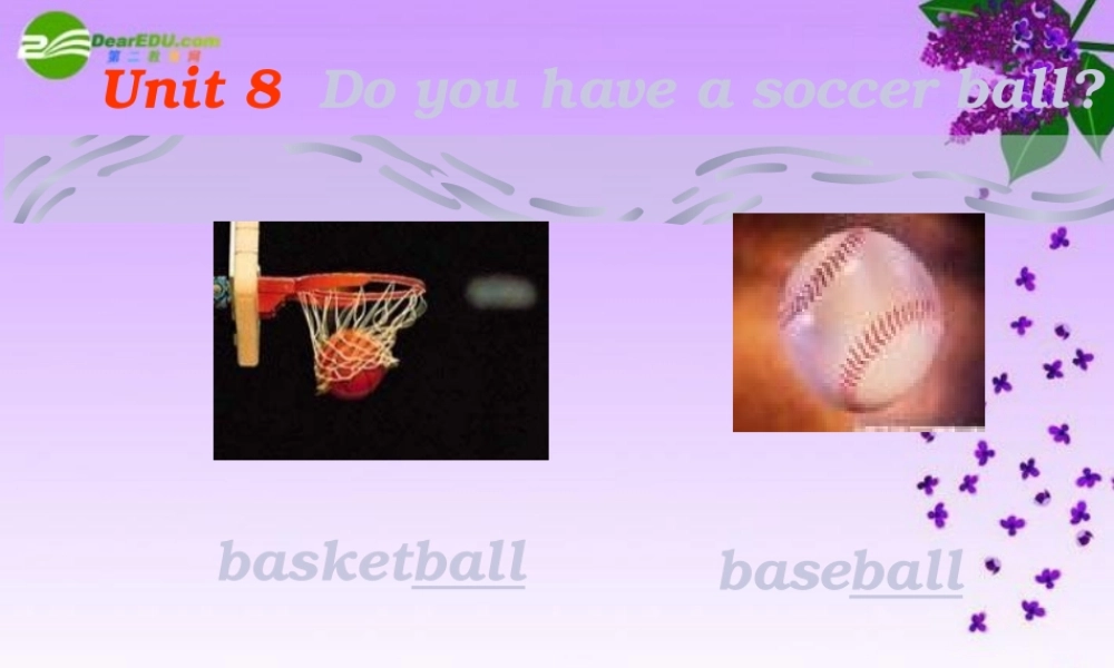 六年级英语上册 Unit 8 Do you have a soccer ball 课件 鲁教版