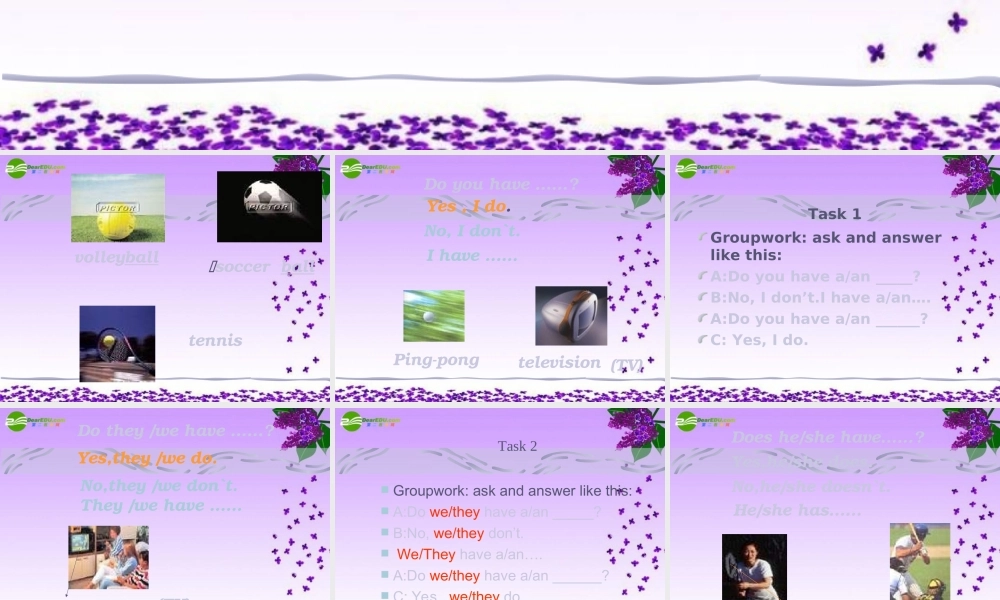 六年级英语上册 Unit 8 Do you have a soccer ball 课件 鲁教版