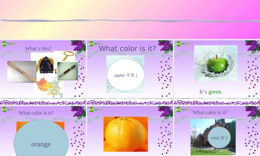 六年级英语上册 Unit 4 My name is Gina课件 鲁教版