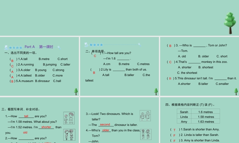 六年级英语下册 Unit 1 How tall are you Part A习题课件 人教PEP版-人教PEP小学六年级下册英语课件