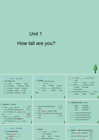 六年级英语下册 Unit 1 How tall are you Part A习题课件 人教PEP版-人教PEP小学六年级下册英语课件