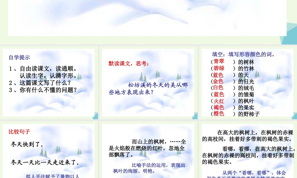 六年级语文上册 松坊溪的冬天课件3 鄂教版-鄂教版小学六年级上册语文课件
