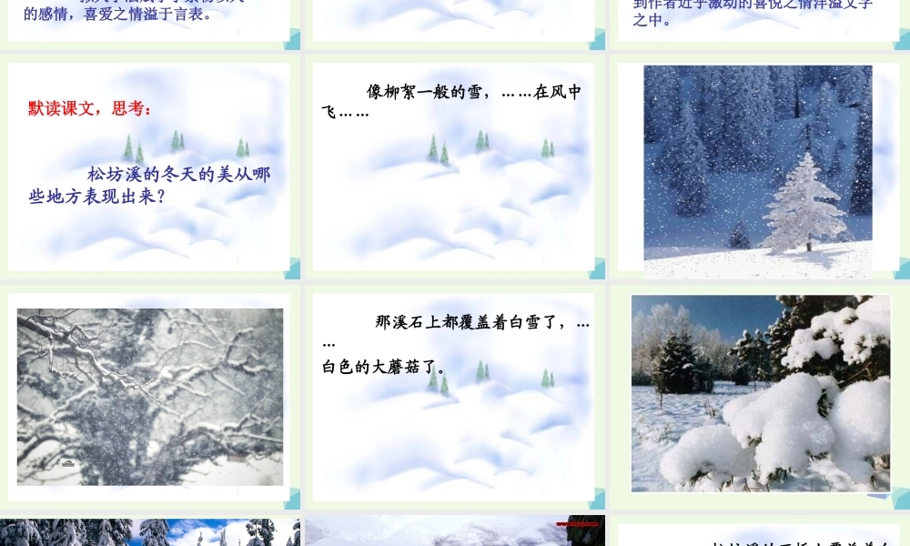 六年级语文上册 松坊溪的冬天课件3 鄂教版-鄂教版小学六年级上册语文课件