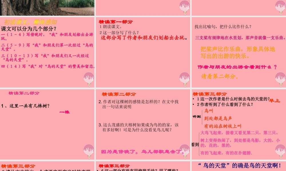 六年级语文上册 第4课 鸟的天堂课件3 西师大版-西师大版小学六年级上册语文课件