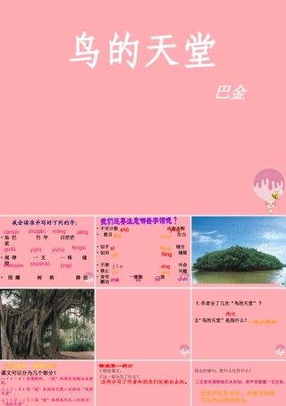 六年级语文上册 第4课 鸟的天堂课件3 西师大版-西师大版小学六年级上册语文课件