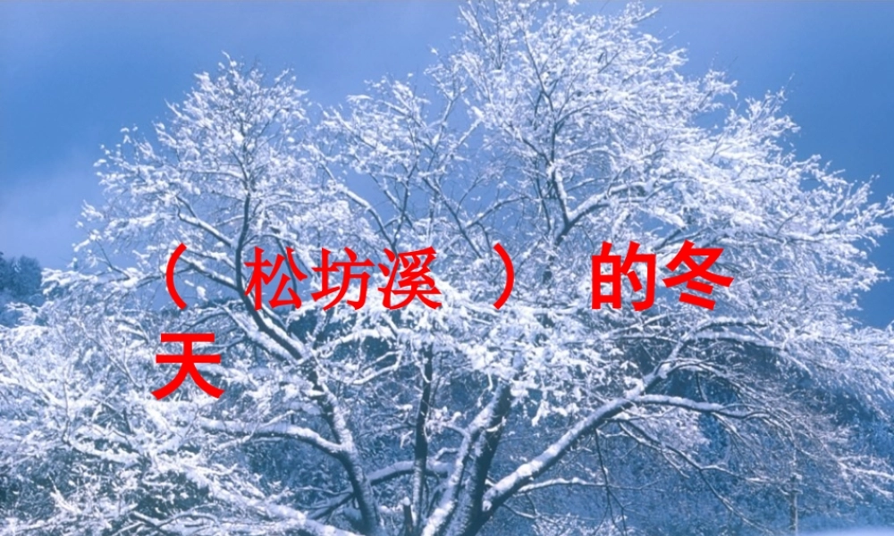 六年级语文上册 松坊溪的冬天课件4 鄂教版-鄂教版小学六年级上册语文课件