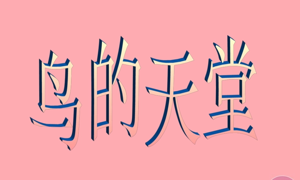 六年级语文上册 第4课 鸟的天堂课件4 西师大版-人教版小学六年级全册语文课件
