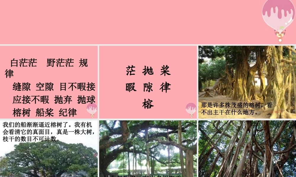 六年级语文上册 第4课 鸟的天堂课件4 西师大版-人教版小学六年级全册语文课件