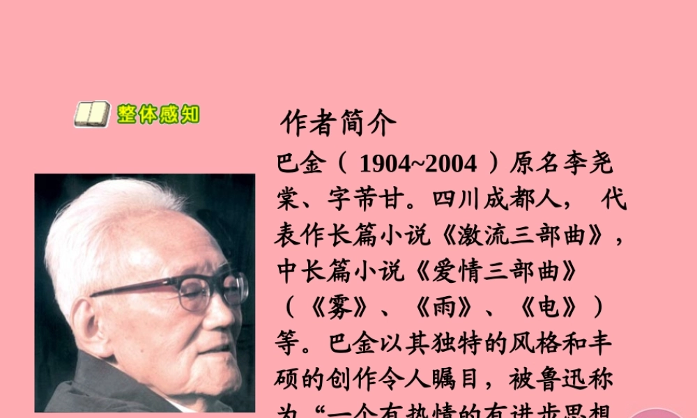 六年级语文上册 第4课 鸟的天堂课件5 西师大版-西师大版小学六年级上册语文课件