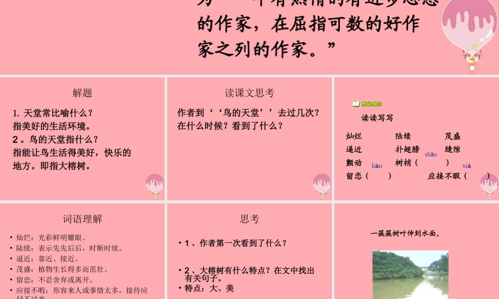 六年级语文上册 第4课 鸟的天堂课件5 西师大版-西师大版小学六年级上册语文课件