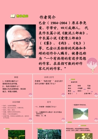 六年级语文上册 第4课 鸟的天堂课件5 西师大版-西师大版小学六年级上册语文课件