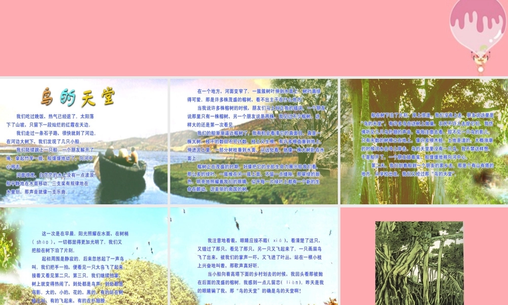 六年级语文上册 第4课 鸟的天堂课件6 西师大版-西师大版小学六年级上册语文课件