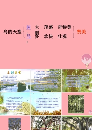 六年级语文上册 第4课 鸟的天堂课件6 西师大版-西师大版小学六年级上册语文课件