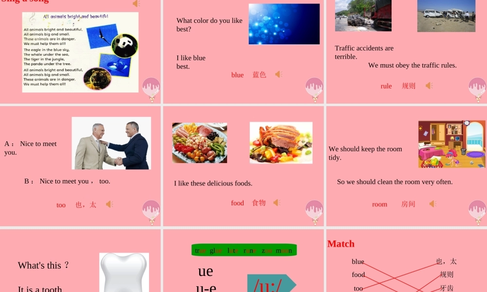 六年级英语上册 Unit 5 Animals in danger（第2课时）课件 牛津上海版-牛津上海版小学六年级上册英语课件