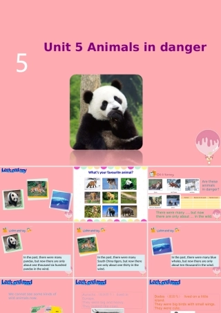 六年级英语上册 Unit 5 Animals in danger课件 牛津上海版-牛津上海版小学六年级上册英语课件