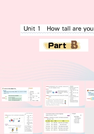 六年级英语下册 Unit 1 How tall are you Part B课堂课件 人教PEP版-人教PEP小学六年级下册英语课件