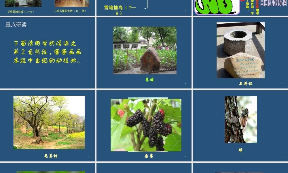 六年级语文上册 第5课《从百草园到三味书屋》课件1 沪教版-沪教版小学六年级上册语文课件