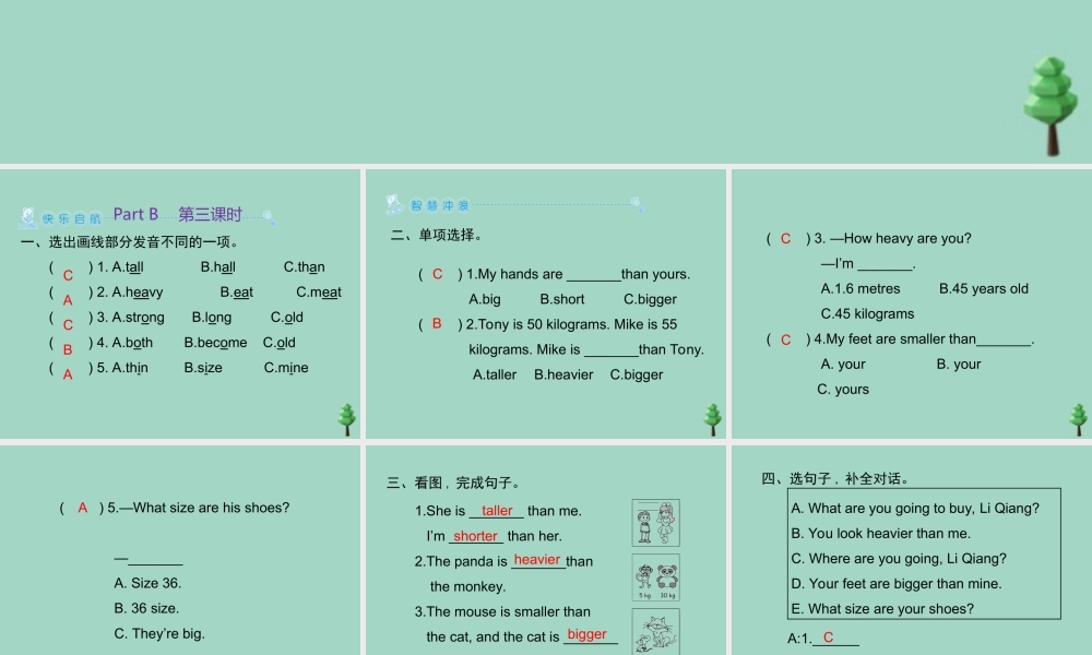 六年级英语下册 Unit 1 How tall are you Part B习题课件 人教PEP版-人教PEP小学六年级下册英语课件