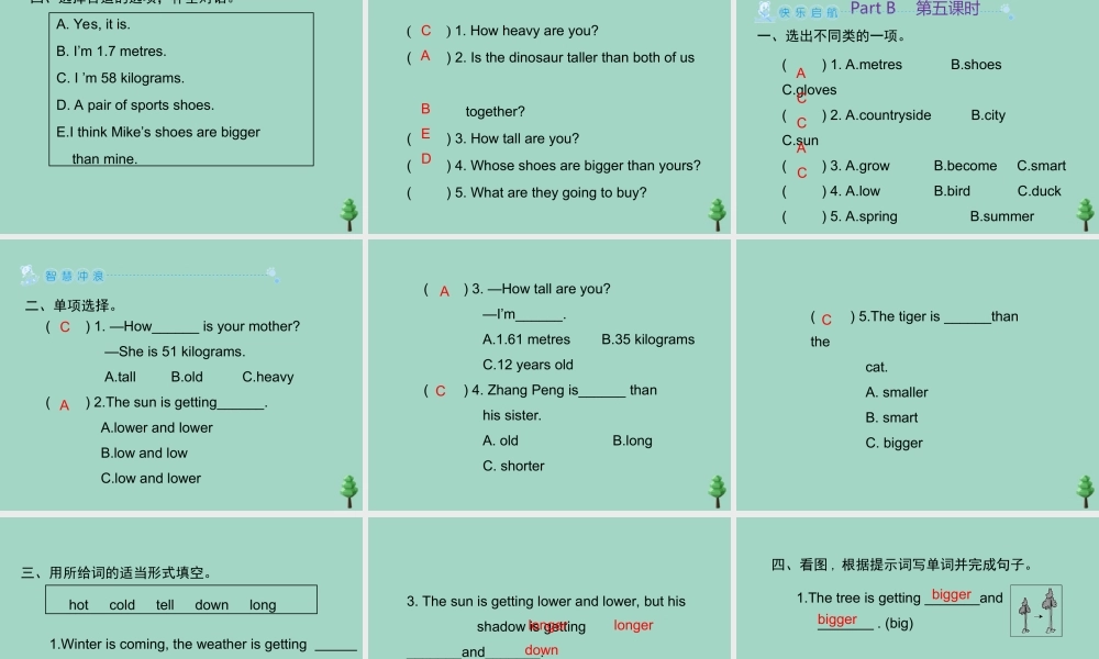 六年级英语下册 Unit 1 How tall are you Part B习题课件 人教PEP版-人教PEP小学六年级下册英语课件