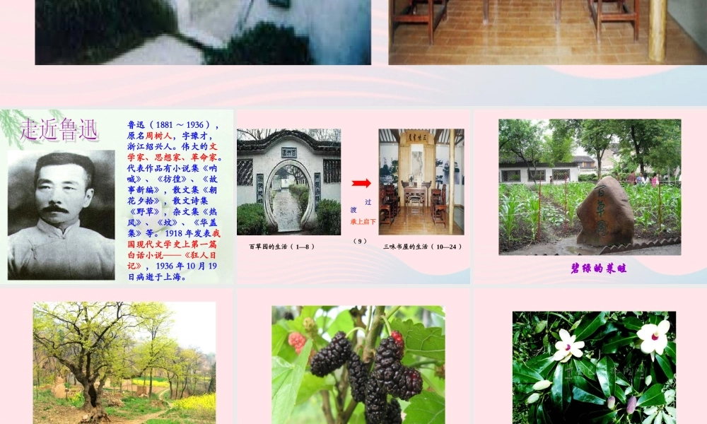 六年级语文上册 第5课《从百草园到三味书屋》课件2 沪教版-沪教版小学六年级上册语文课件