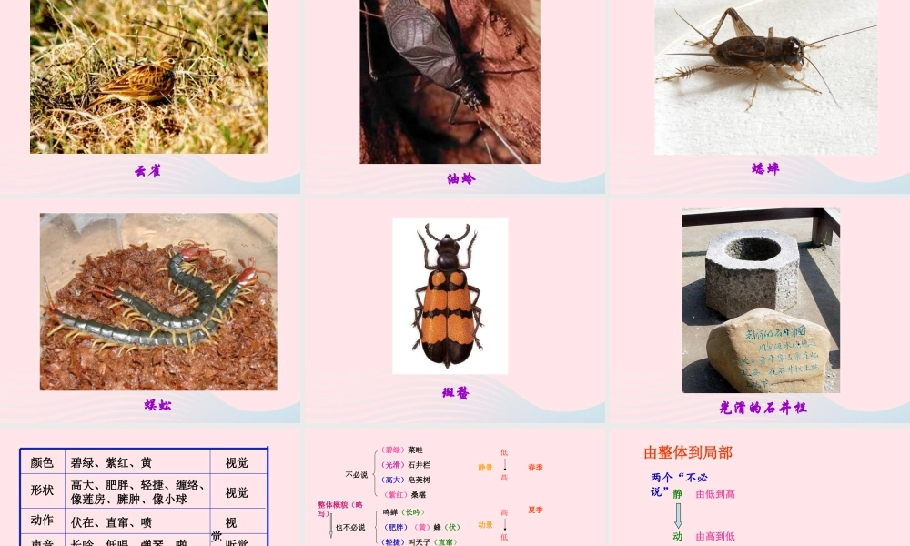 六年级语文上册 第5课《从百草园到三味书屋》课件2 沪教版-沪教版小学六年级上册语文课件