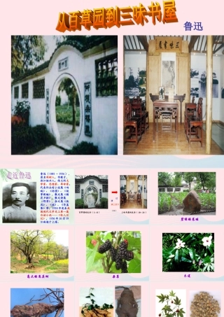 六年级语文上册 第5课《从百草园到三味书屋》课件2 沪教版-沪教版小学六年级上册语文课件