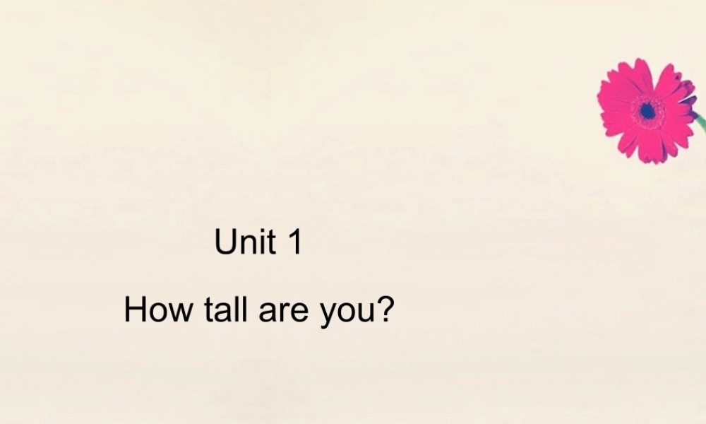 六年级英语下册 Unit 1 How tall are you Part B周末自主作业习题课件 人教PEP版-人教PEP小学六年级下册英语课件