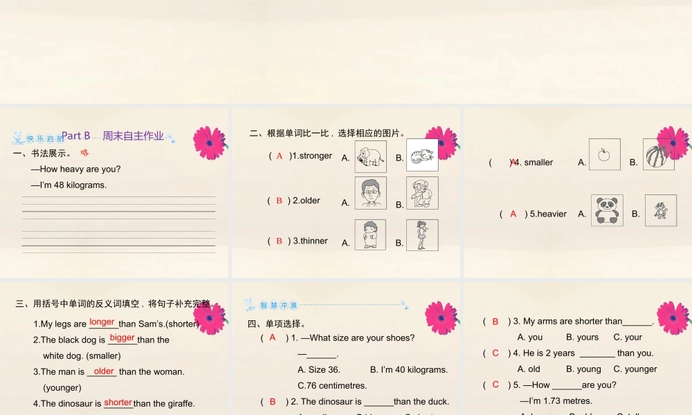 六年级英语下册 Unit 1 How tall are you Part B周末自主作业习题课件 人教PEP版-人教PEP小学六年级下册英语课件