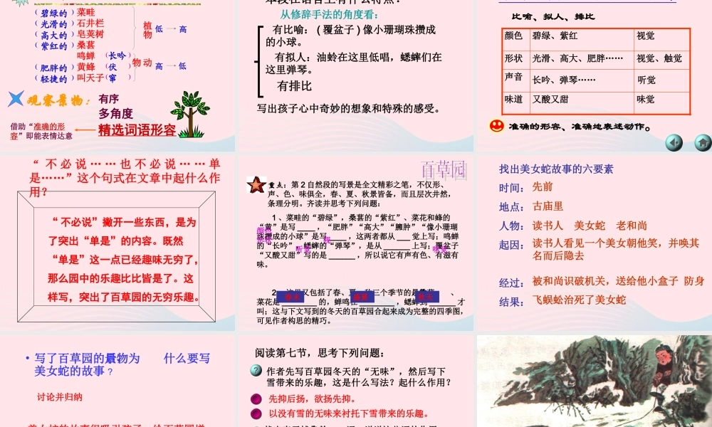 六年级语文上册 第5课《从百草园到三味书屋》课件3 沪教版-沪教版小学六年级上册语文课件