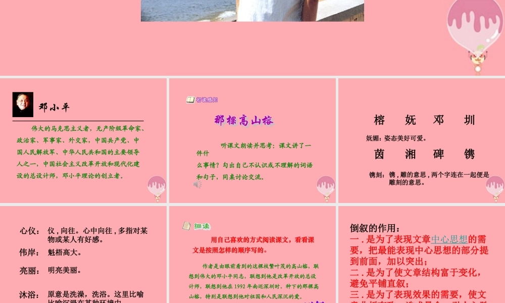 六年级语文上册 第6课 那棵高山榕课件1 西师大版-西师大版小学六年级上册语文课件