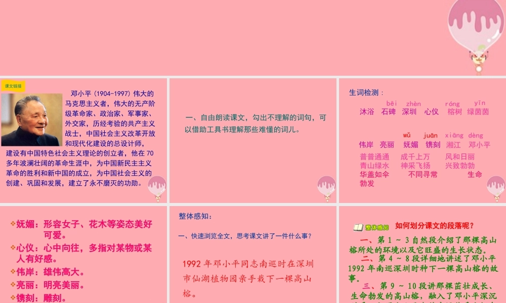 六年级语文上册 第6课 那棵高山榕课件2 西师大版-西师大版小学六年级上册语文课件