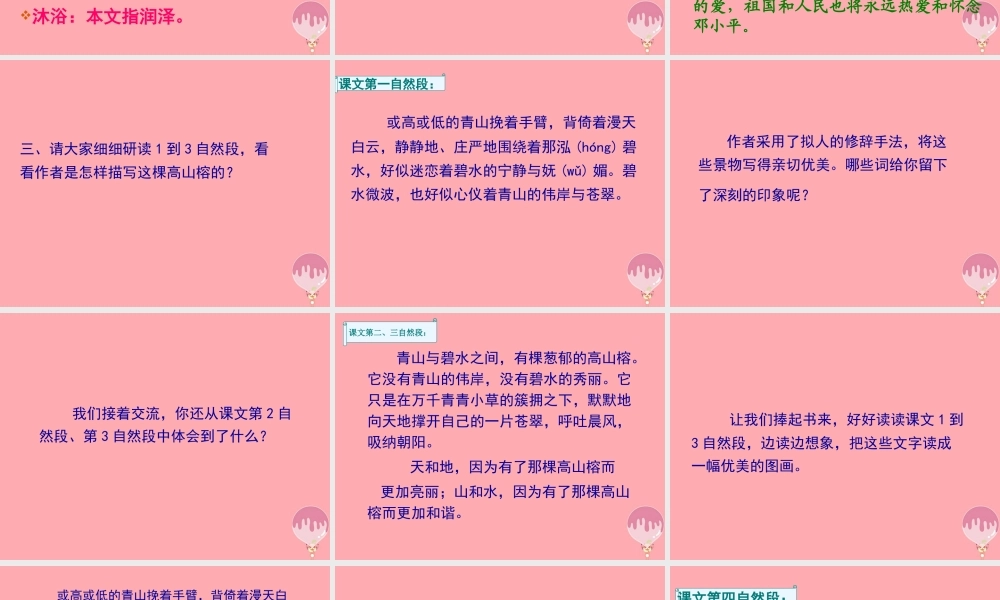 六年级语文上册 第6课 那棵高山榕课件2 西师大版-西师大版小学六年级上册语文课件