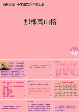 六年级语文上册 第6课 那棵高山榕课件2 西师大版-西师大版小学六年级上册语文课件
