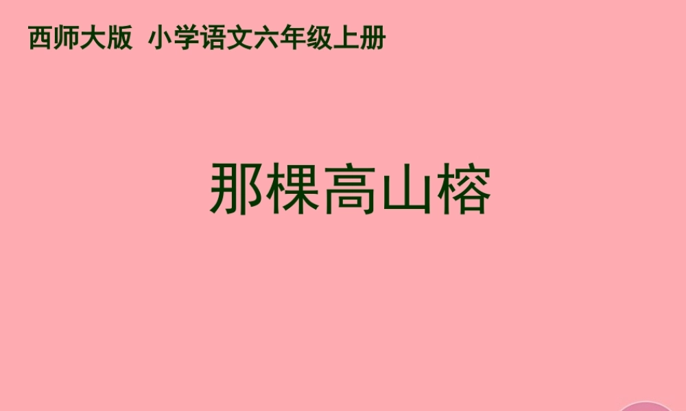 六年级语文上册 第6课 那棵高山榕课件3 西师大版-西师大版小学六年级上册语文课件