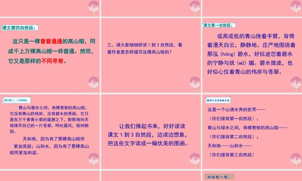 六年级语文上册 第6课 那棵高山榕课件3 西师大版-西师大版小学六年级上册语文课件